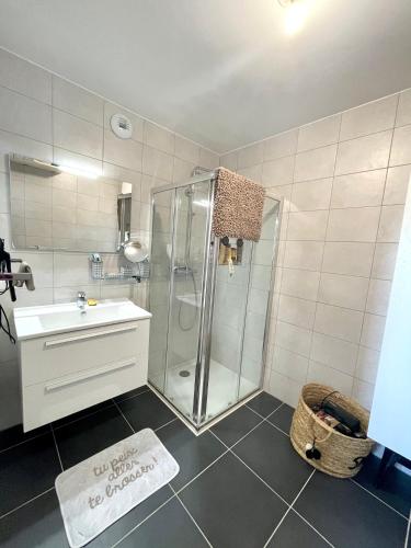 une salle de bain avec douche et lavabo dans l'établissement T2 VUE MER - ENTREE DE VILLE, à Ajaccio