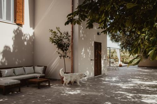 a dog and a cat sitting on a porch at La Pianaccia in Manciano