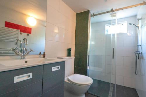 a bathroom with a toilet and a sink and a shower at Amsterdam-Houseboat-Amstel in Amsterdam