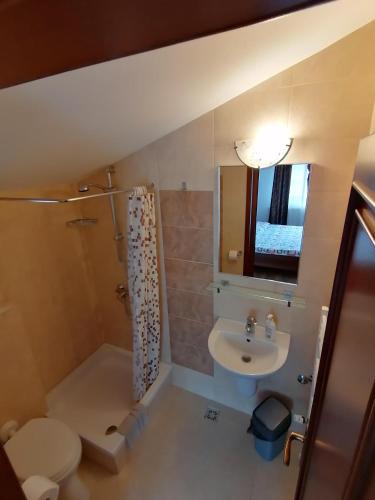 a bathroom with a sink and a toilet and a shower at Pensiunea ANCA in Statjunea Borsa