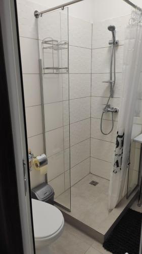 a bathroom with a glass shower with a toilet at Квартира на Дерибасовcкой in Odesa