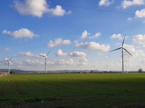 a group of wind turbines in a green field at Tenuta viale degli ulivi in San Martino in Pensilis