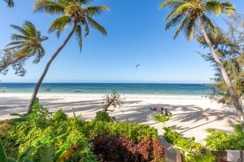 
a beach with palm trees and palm trees at Surfescape Beachfront Apartments in Kiwengwa
