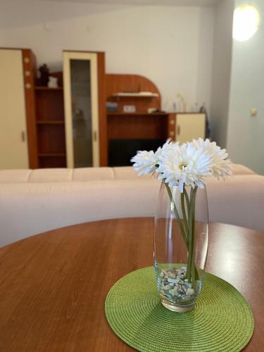 ペトロヴァック・ナ・モルにあるKatarina Apartmentsのギャラリーの写真