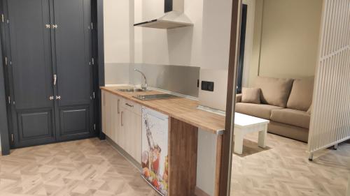 kuchnia z blatem i kanapą w pokoju w obiekcie Apartamentos Turísticos y Habitaciones Cidade Vella by Bossh! Hotels w mieście Ourense