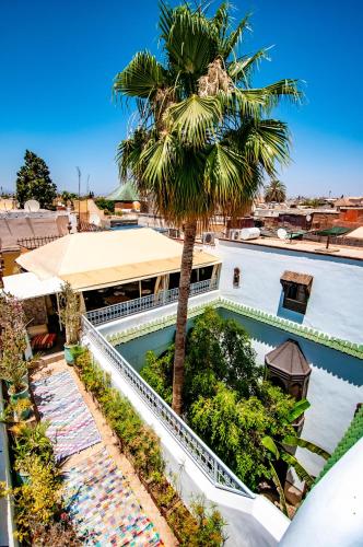 a palm tree next to a building with a swimming pool at Hotel & Spa Riad Dar El Aila in Marrakech