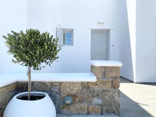 Gallery image of Eleftheria Hotel & Apartments in Ornos