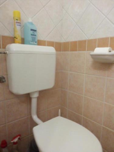 Bilik mandi di Apartman Ráchegy