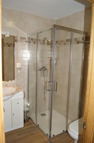 a bathroom with a shower with a toilet and a sink at Apartamentos Camin De Pelayo in Las Rozas