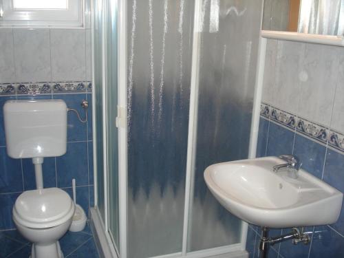 a bathroom with a toilet and a sink at Apartments Buzleta II in Fažana