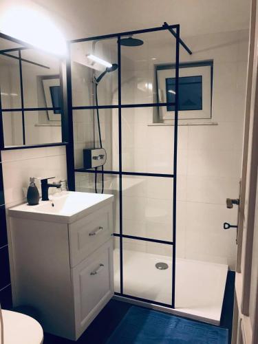 a bathroom with a shower with a sink and a toilet at Galéria Panzió in Nagykanizsa