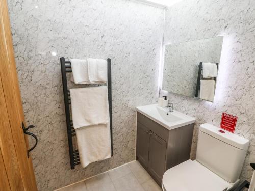 a bathroom with a toilet and a sink and a mirror at Bwthyn Y Bugail Shepherd's Cottage in Oswestry