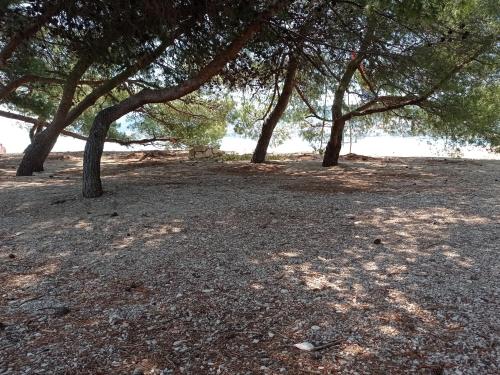 Paesaggio naturale nelle vicinanze dell'affittacamere