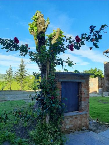 Galería fotográfica de cascina carlo en Canelli