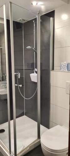 a bathroom with a shower with a toilet and a sink at Weingut Pension Gibbert-Pohl in Briedel