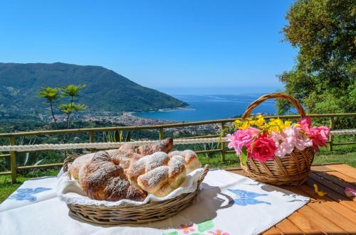 Paisaje cerca de este bed & breakfast