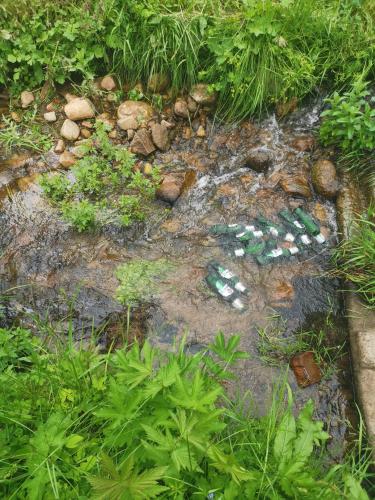 a group of bottles in a stream of water at Къща Томови,стаи за гости in Devin