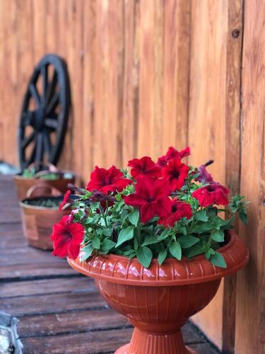 a red flower pot with red flowers in it at Шервуд in Myta