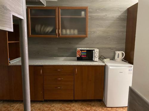 uma pequena cozinha com um micro-ondas e um frigorífico em Hotel DA NONNA em Odessa