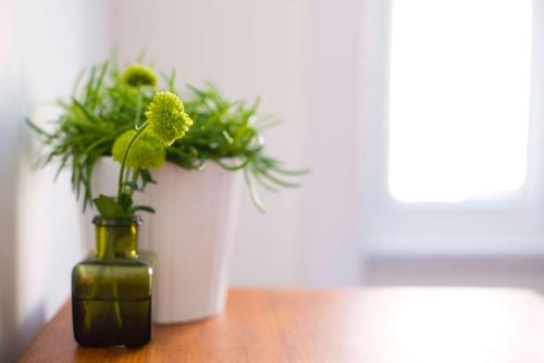 a green vase sitting on a table with a plant at Dog and Whistle Pub in Hertford
