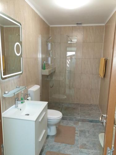 uma casa de banho com um chuveiro, um WC e um lavatório. em Kogalniceanu House em Constança