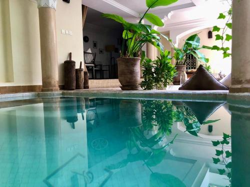 a swimming pool with blue water in a house with plants at Dar Crystal in Marrakech