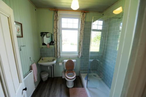 a bathroom with a toilet and a sink and a window at The Green House at Tathhill in Beattock