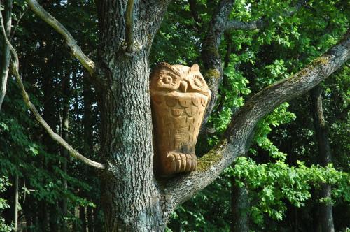 a stone owl is sitting in a tree at Pušų Šlamesy in Vilnius