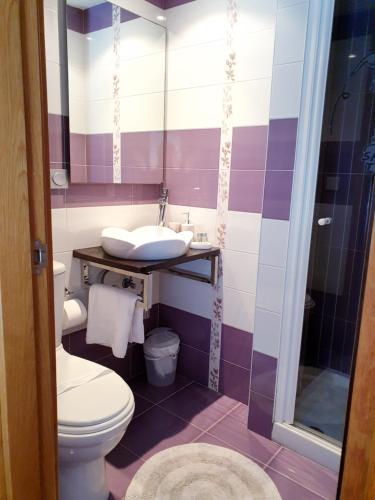 a bathroom with a toilet and a sink at Pension Paloma - Oiartzun in Oiartzun