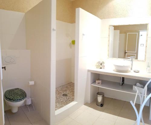 y baño con lavabo, aseo y espejo. en Le Mas des Hibiscus, en Trans-en-Provence