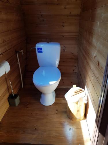 a bathroom with a toilet in a wooden room at Tokaj Zlatá Putňa - Restaurant & Pension in Viničky