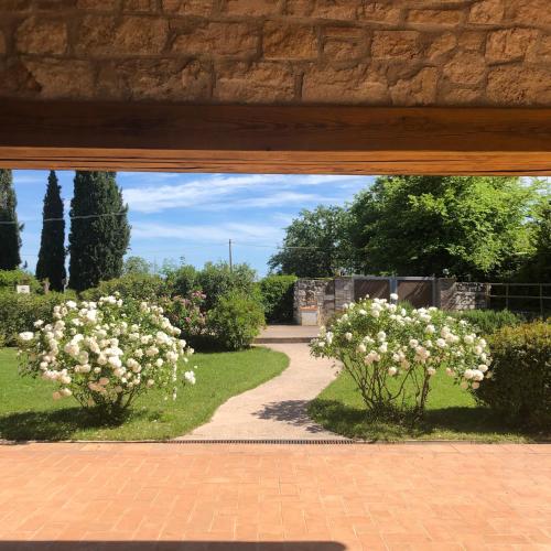 Κήπος έξω από το Saturnia Country Villas