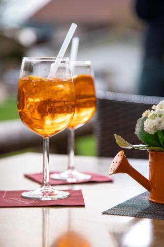 Bebidas en Alpinhotel INzeller