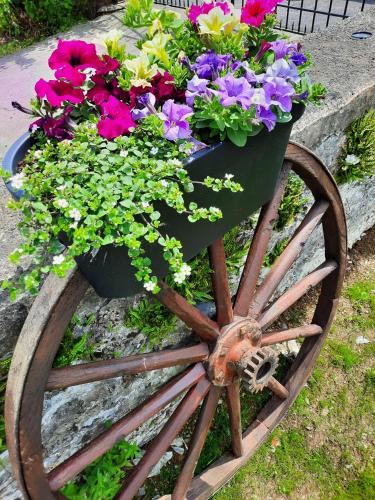 a wheelbarrow filled with flowers on top at Le relais du cheval blanc in Tenneville