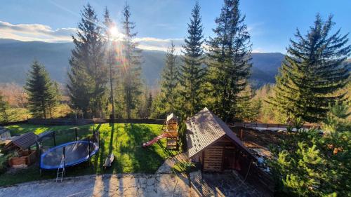 an aerial view of a house with a garden at L - Hutir in Mykulychyn