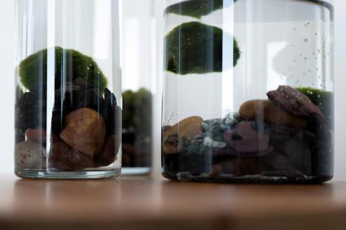 two glass jars filled with rocks on a table at PICCOLA MAESTA' boutique rooms in Civitanova Marche