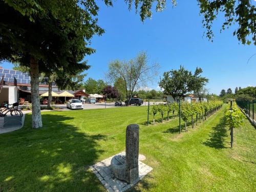 a field with a row of vines in a park at Kukorica Csárda Apartman in Balatonújlak
