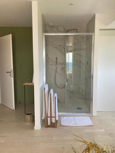 a bathroom with a shower with a glass door at Villa L'Arbousière in Porto-Vecchio