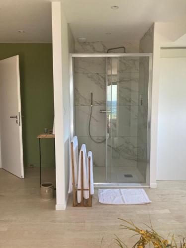 bagno con doccia e porta in vetro di Villa L'Arbousière a Porto Vecchio