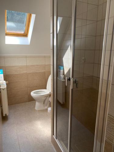 a bathroom with a toilet and a glass shower stall at Fanni Vendégház in Balatonboglár