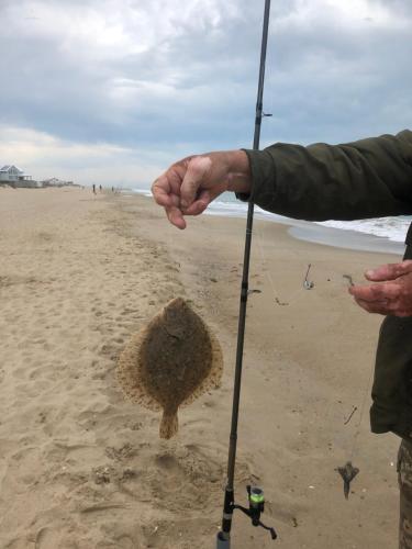 a person holding a pole on the beach at Villa RK DeLuxe in Zatoka