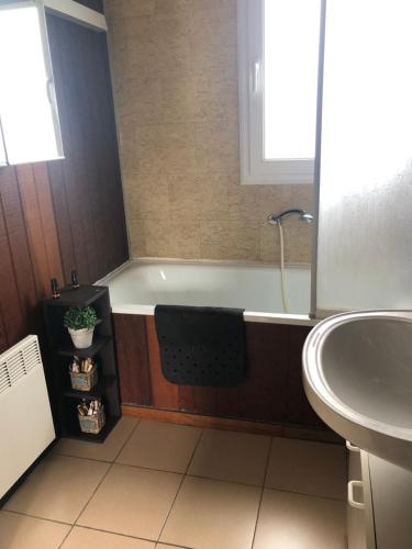 ein Badezimmer mit einer Badewanne und einem Waschbecken in der Unterkunft Heaven in Treignes