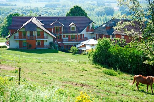 a horse standing in a field in front of a house at Hôtel les Bergeronnettes in Champagneux
