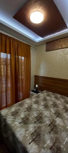 Postel nebo postele na pokoji v ubytování Zlatibor apartmani centar