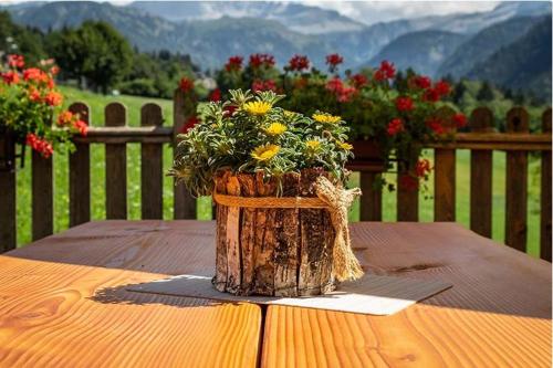 a wooden table with a planter with flowers on it at Hotel Garnì La Soldanella in Madonna di Campiglio