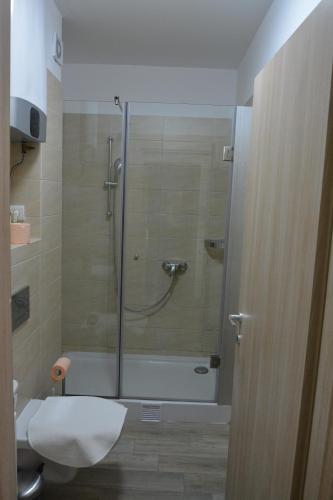 a bathroom with a shower with a tub and a toilet at De Silva Residence in Mamaia