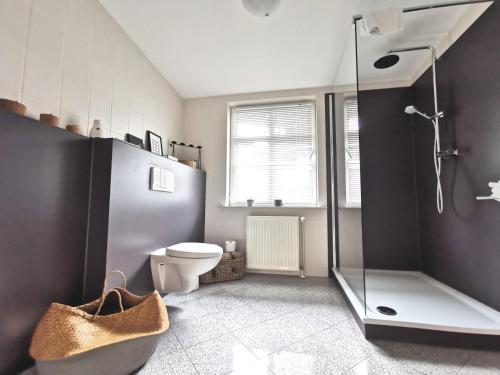 a bathroom with a shower and a toilet and a sink at Homelig Altstadt Ferienwohnungen Sassnitz in Sassnitz