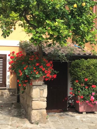 a building with flowers in front of a black door at Da Sabrina in Castellabate
