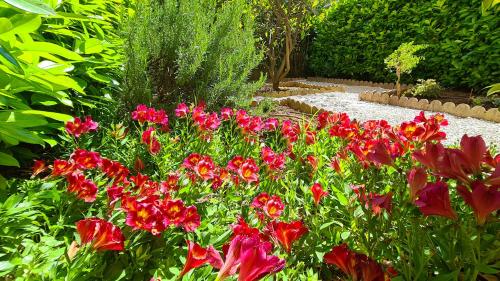 un jardin avec des fleurs rouges et un sentier dans l'établissement Casalionelantibes 70 sqm apartment with garden and parking, à Antibes