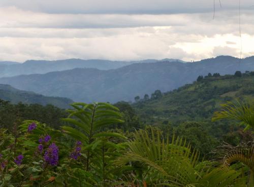 a view of the mountains from the jungle at Finca El Cielo in San Agustín